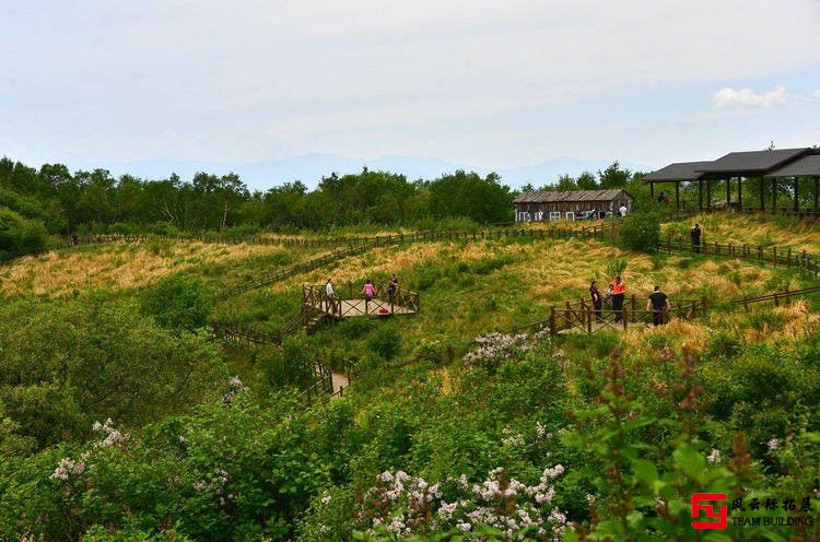 野三坡白草畔1天團建拓展活動方案