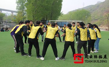 拓展心得：信任團體，團結(jié)一致五篇