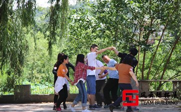 拓展訓(xùn)練體現(xiàn)出團隊互助的偉大力量五篇