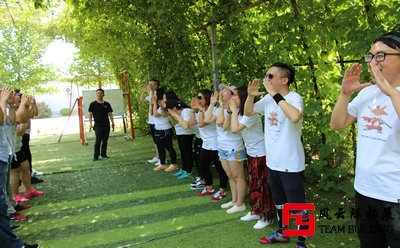 公司拓展訓練游戲心得總結(jié)800字
