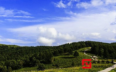 石家莊駝梁團建拓展訓練活動