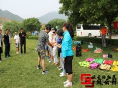 拓展訓(xùn)練心得總結(jié)-增強(qiáng)員工的凝聚力，激發(fā)員工拼搏進(jìn)取