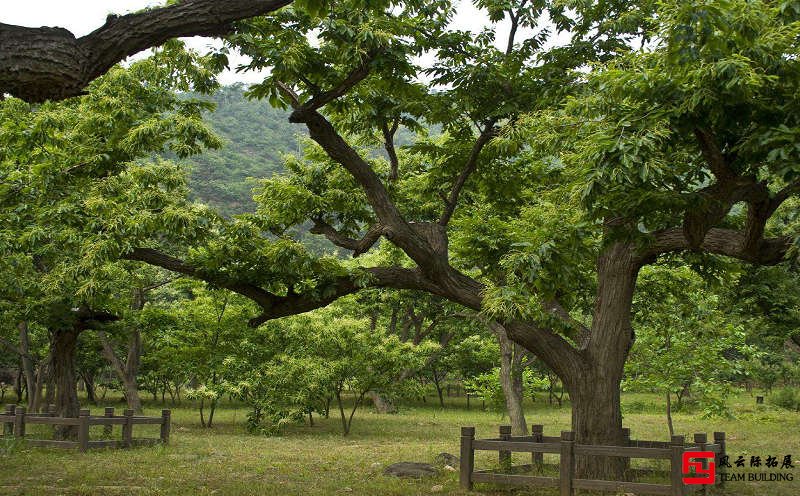 懷柔黃花城水長(zhǎng)城團(tuán)建拓展訓(xùn)練